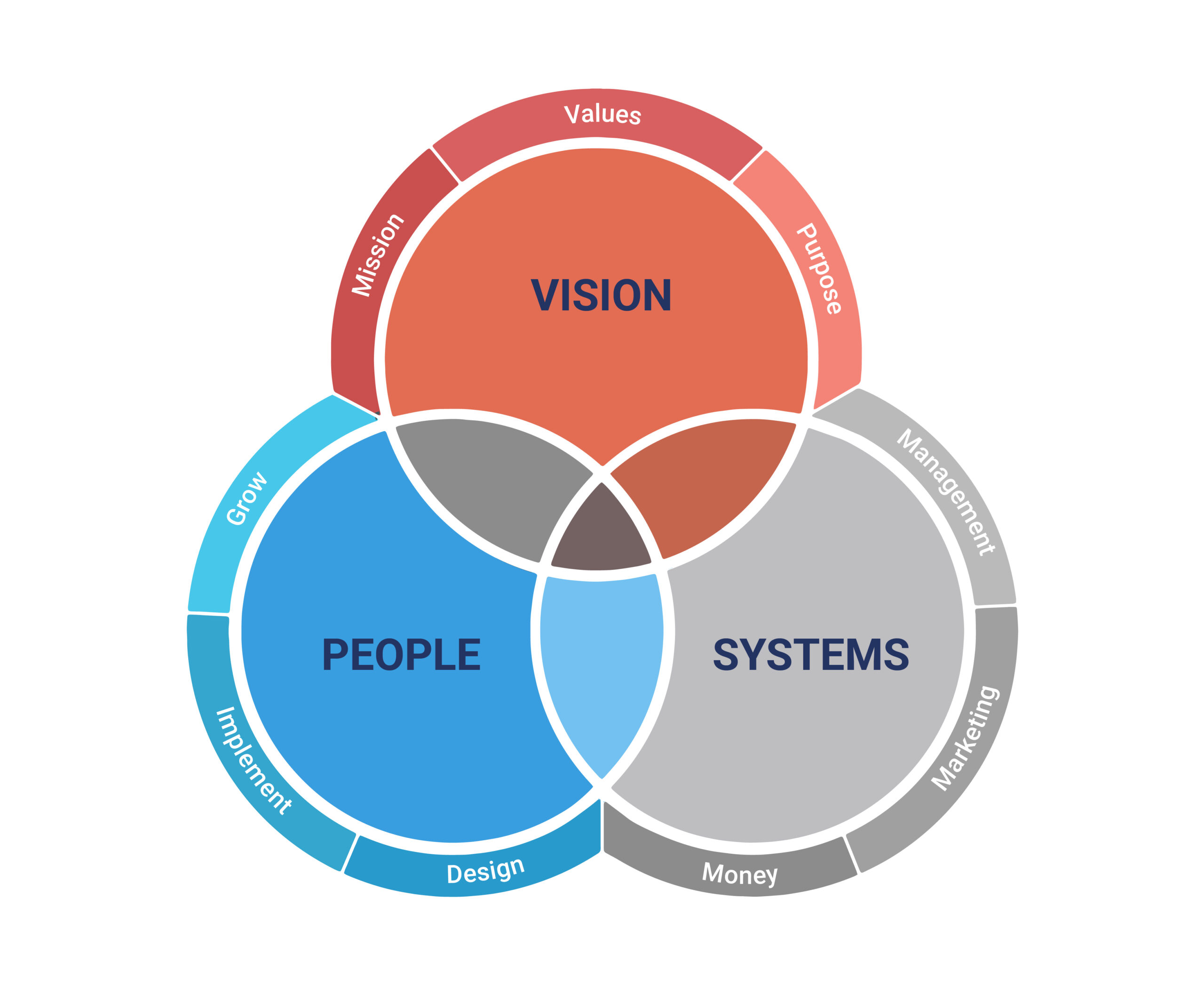 Vsp infographic-01